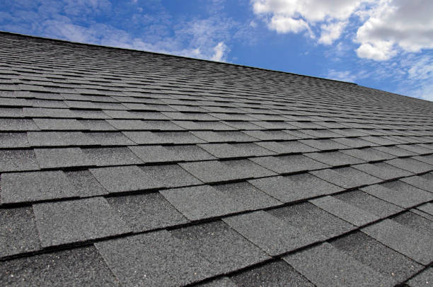 Best Roof Ventilation Installation  in Belle Haven, VA